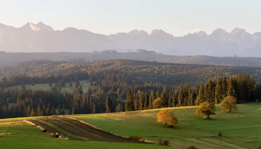 Malowniczy punkt widokowy na Tatry. Zielone wzgórza, lasy i pasące się zwierzęta tworzą sielski krajobraz.