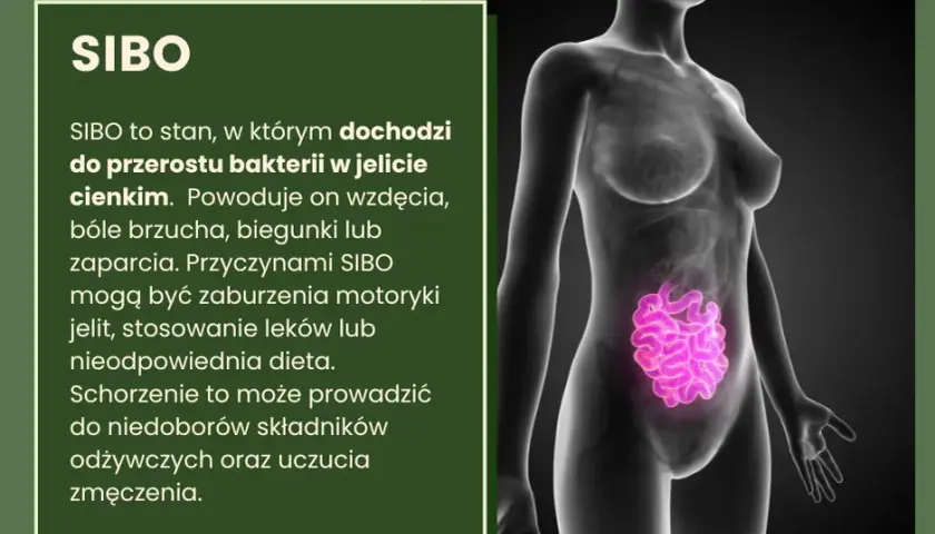 Inulina a SIBO: Czy pomoże w leczeniu? Korzyści i zagrożenia