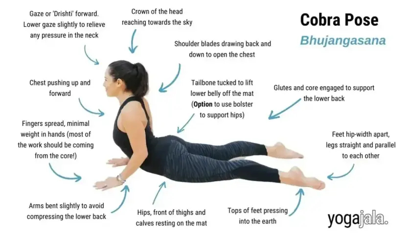 Kobieta w pozycji kobry joga (Bhujangasana). Klatka piersiowa uniesiona, ramiona lekko ugięte, nogi proste.