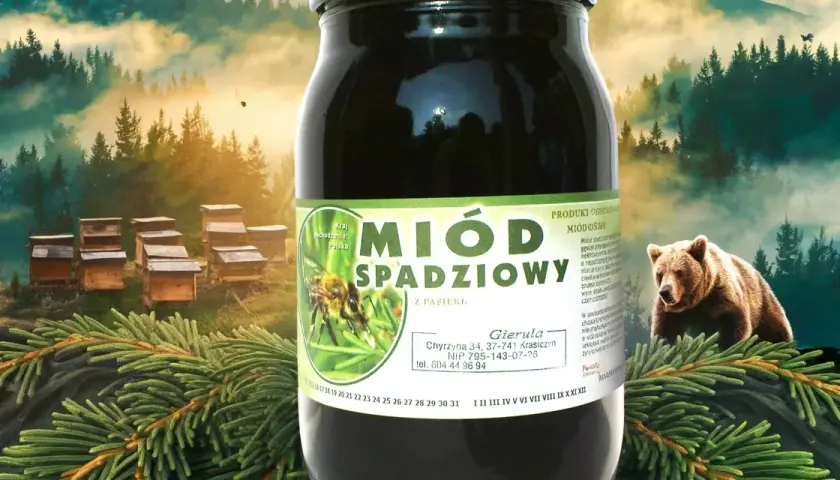 Ile kosztuje miód spadziowy? Ceny, które zaskoczą każdego kupującego