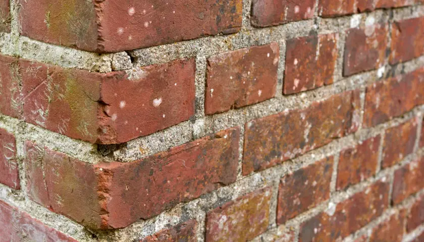 Alte Ziegelwand mit Mörtel. Weiße Ablagerungen auf den Ziegeln deuten auf hygroskopische Salze hin, die Feuchtigkeit aus der Luft ziehen.