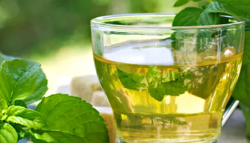 Erfrischender Minztee im Glas, mit frischen Minzblättern und Zuckerwürfeln. Was ist Minze? Ein belebender Genuss.