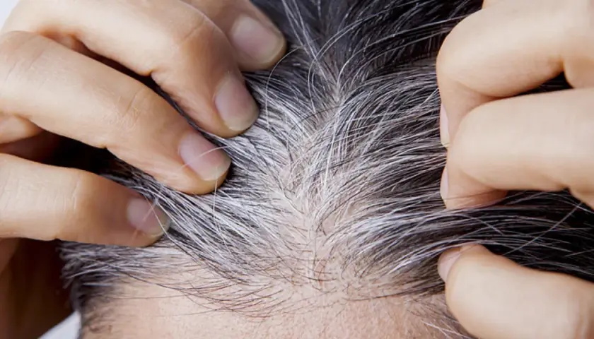Dedos separan cabello oscuro con hebras plateadas, mostrando el inicio de las canas. ¿A qué edad salen las canas?