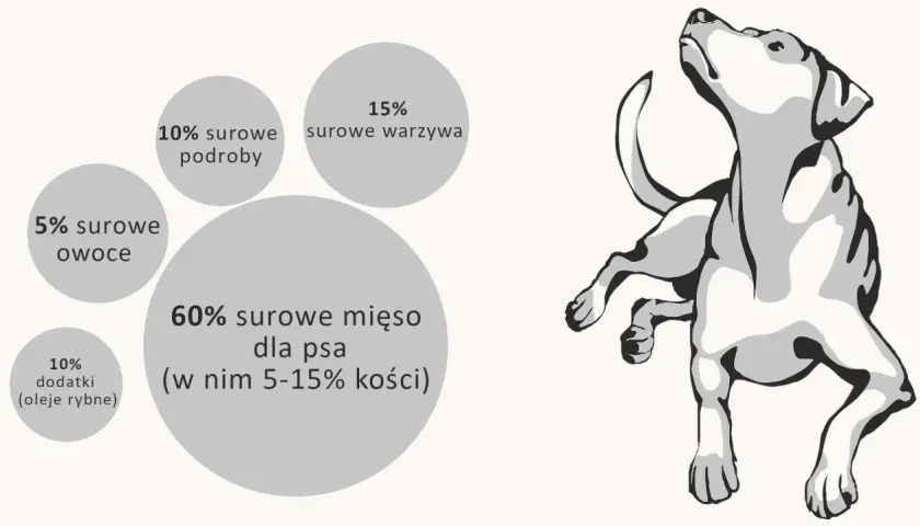 Przepis na barf dla psa: 60% mięsa, 15% warzyw, 10% podrobów, 5% owoców, 10% dodatków (oleje rybne).