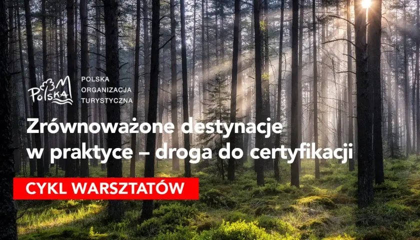 Promień słońca przebija się przez las, oświetlając ścieżkę. Temat: turystyka zrównoważona przykłady. Cykl warsztatów.