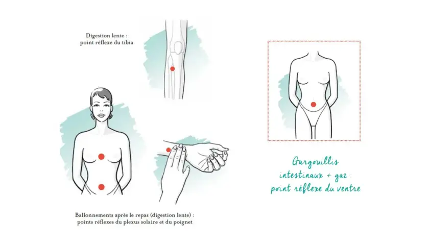 Points réflexes pour soulager ballonnements et digestion lente. Un massage abdominal peut aider.