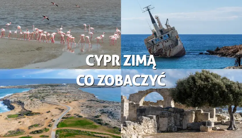 Cypr zimą: flamingi, wrak statku, wybrzeże i ruiny. Pogoda w lutym sprzyja zwiedzaniu.
