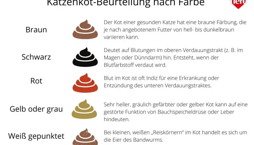 Illustrationen von Katzenkot in verschiedenen Farben (braun, schwarz, rot, gelb/grau, weiß gepunktet) mit Erklärungen zu deren Bedeutung für die Katzengesundheit.