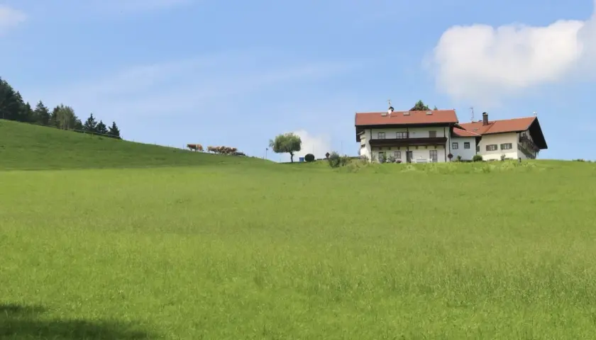 Ile kosztuje ar działki budowlanej na wsi? Ceny, które musisz znać