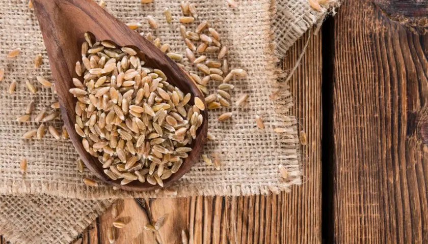 Mąka orkiszowa ma gluten! Co to znaczy dla Twojej diety?