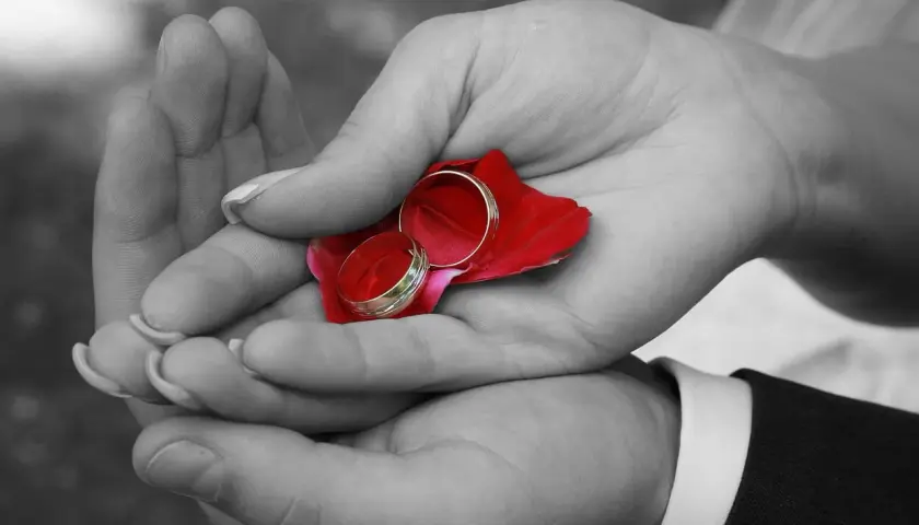 Dłonie trzymają płatek róży z obrączkami. Czy nauki przedmałżeńskie są obowiązkowe?