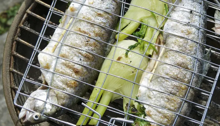Trois truites au barbecue, garnies d'herbes et de fenouil, grillent sur un barbecue.