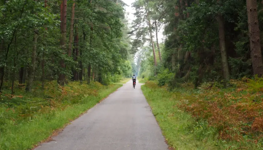 Puszcza Niepołomicka trasy rowerowe mapa – odkryj najlepsze szlaki