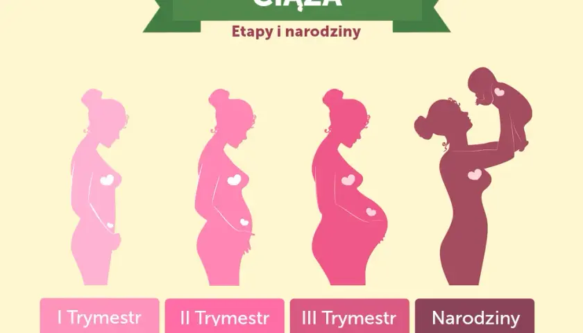 Ile trwają badania prenatalne? Czas oczekiwania na wyniki planuj bez stresu!