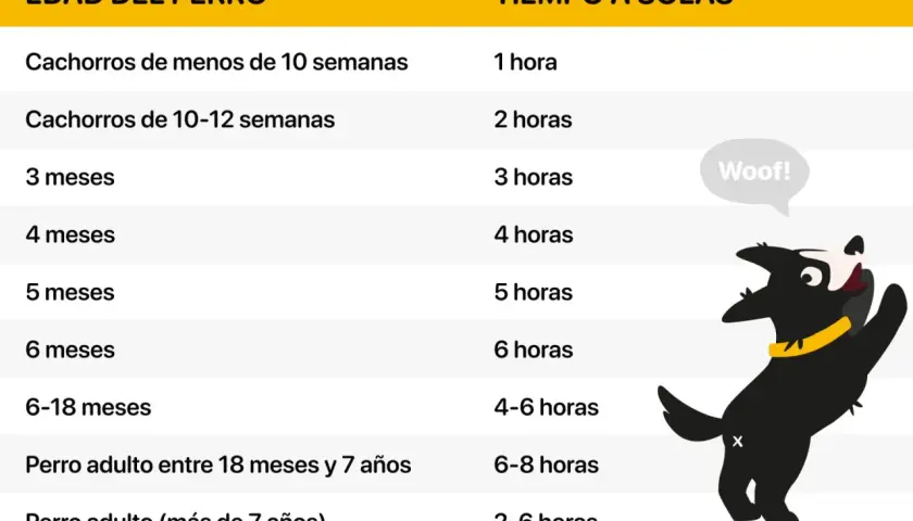 Tabla que indica el tiempo máximo recomendado para dejar al perro solo en casa según su edad. Un perro feliz es un perro bien cuidado.