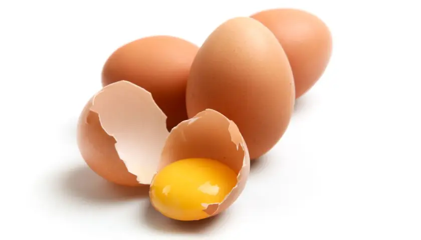 Huevos marrones, uno roto mostrando la yema brillante. ¡Un manjar que los perros pueden comer!