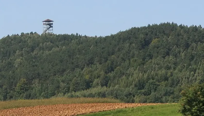 Iwkowa atrakcje – odkryj najciekawsze miejsca, które musisz zobaczyć