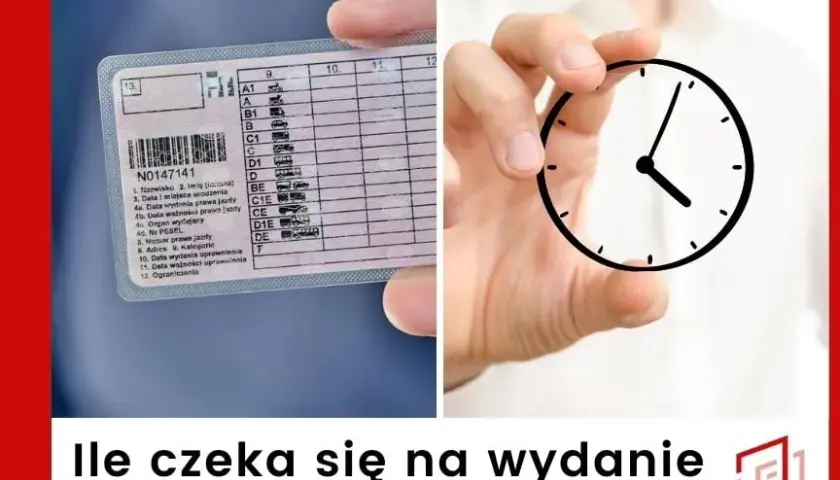 Ile czeka się na prawo jazdy? Szybka weryfikacja terminów i urzędowych procedur