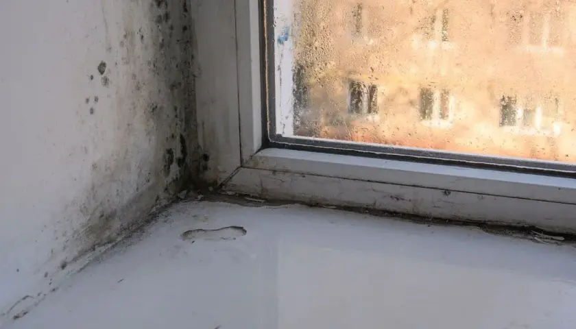 Schimmelbefall an der Wand und am Fensterrahmen. Die Scheibe ist beschlagen. Zeit für schimmel entfernen.