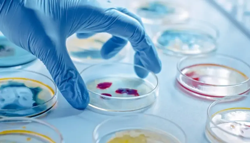 Mikrobiologia co po studiach: jak uniknąć najczęstszych błędów zawodowych