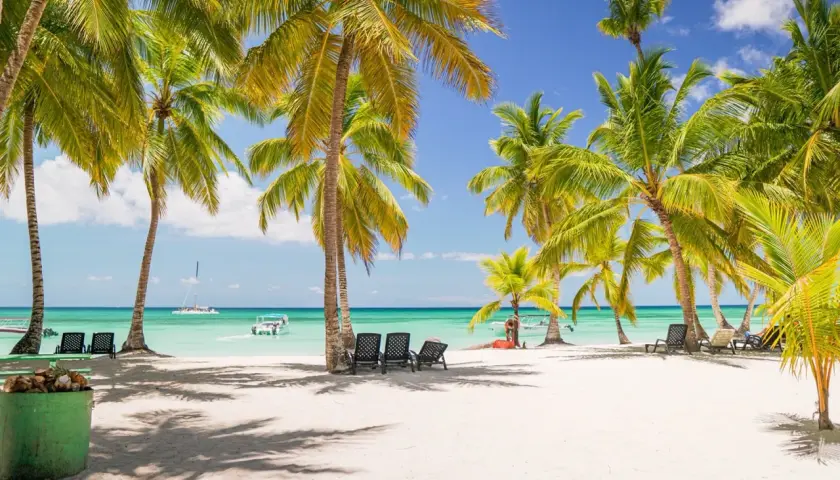 Rajska plaża z palmami, leżakami i turkusową wodą na Dominikanie.