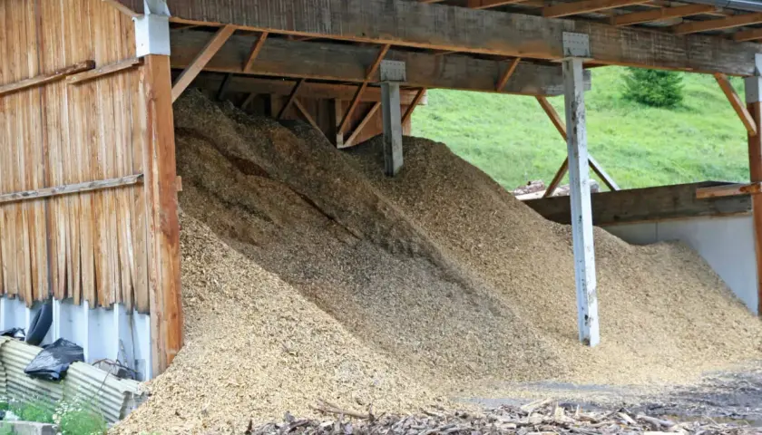 Ogromna góra trocin pod wiatą. Zastanawiasz się, ile peletu z tony trocin można uzyskać? To surowiec do produkcji biomasy.