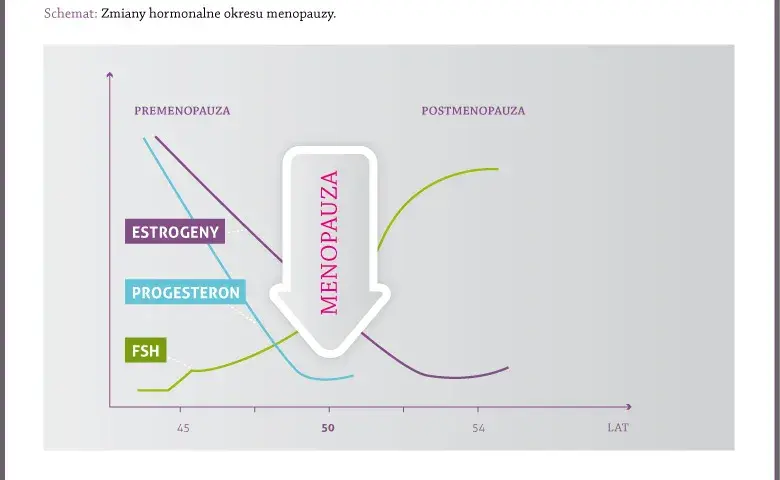 Jajniki po menopauzie: czy nadal produkują hormony? Poznaj prawdę!