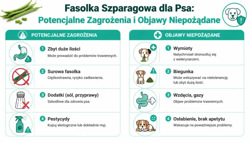 Czy pies może jeść fasolkę szparagową? Infografika ostrzega przed zagrożeniami: zbyt duża ilość, surowa fasolka, dodatki, pestycydy. Objawy: wymioty, biegunka, wzdęcia, osłabienie.