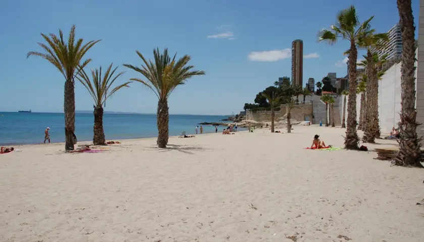 Gente disfruta del sol en la playa albufereta, con palmeras y edificios modernos de fondo.