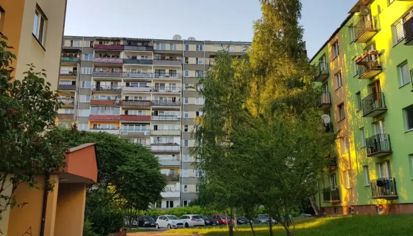 Co daje członkostwo w spółdzielni mieszkaniowej? Odkryj korzyści i zalety