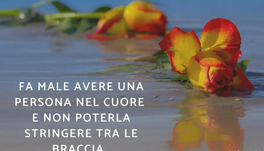 Rose bagnate sulla sabbia, un'immagine che evoca il dolore di come dimenticare un amore non corrisposto, quando il cuore desidera un abbraccio negato.
