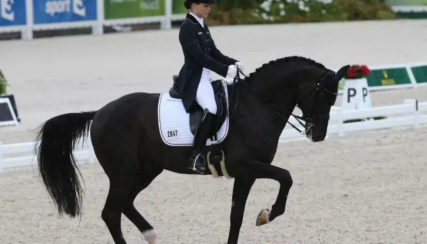 Une cavalière en tenue de compétition exécute une figure de haute école, démontrant la discipline de l'équitation. Le cheval noir est en mouvement, la patte avant levée.