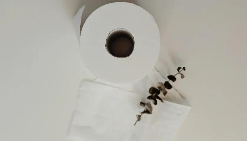 Rolka białego papieru toaletowego i gałązka z liśćmi na białym tle.