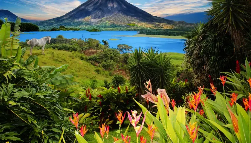 Un caballo blanco pastando cerca de un lago azul y un volcán imponente. ¡Un paisaje perfecto para viajar a Costa Rica!
