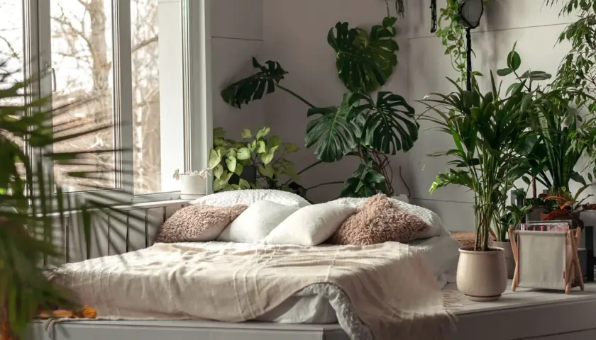 Un lit douillet dans une chambre remplie de verdure, avec un grand monstera dominant la scène.
