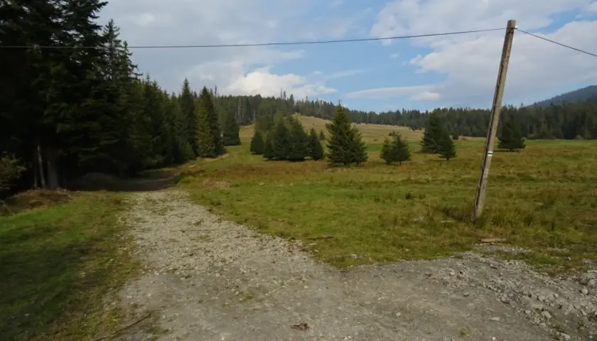 Zubrzyca Górna: Atrakcje, szlaki i praktyczne wskazówki na Orawie