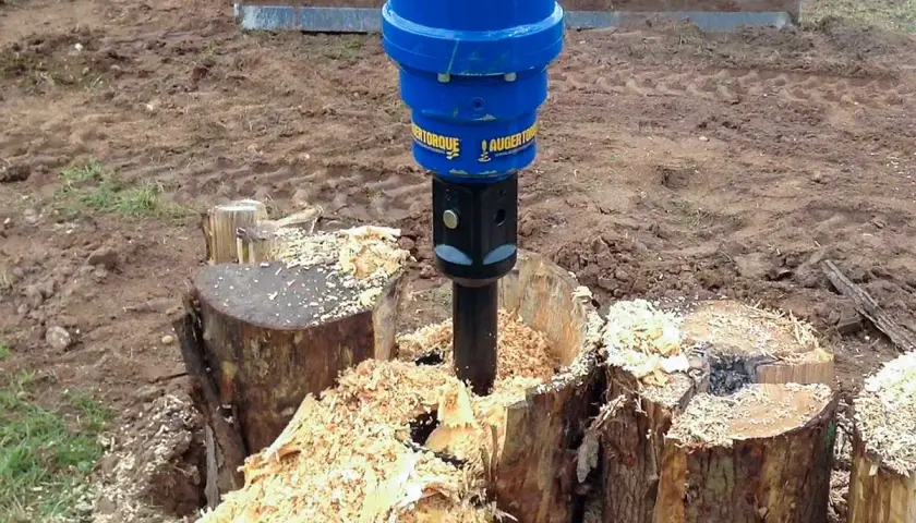 Ein blauer Bohrer entfernt einen Baumstumpf, indem er ihn zerkleinert. Holzspäne fliegen überall herum.