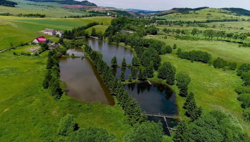 Widok z lotu ptaka na stawy rybne otoczone zielenią, z domami w tle.