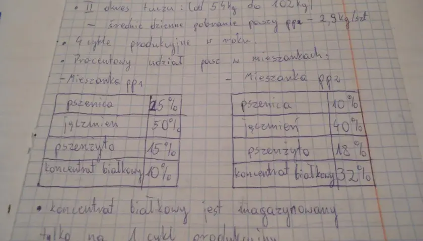 Tabela z proporcjami składników paszy: pszenica, jęczmień, pszenżyto, koncentrat białkowy. Widać tu ciekawy wzór w procentowym udziale.