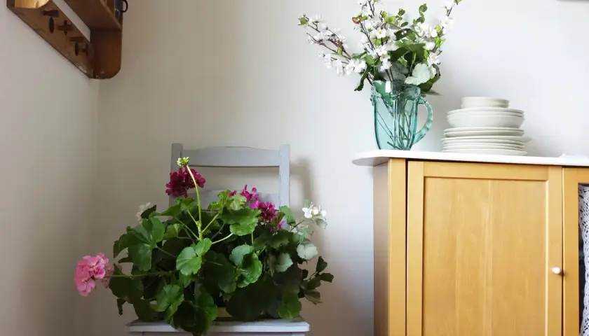 Jak zrobić kwietnik z krzesła? Metamorfoza DIY krok po kroku!