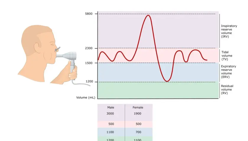 Ilustracja przedstawia badanie spirometria. Mężczyzna wykonuje pomiar objętości płuc za pomocą spirometru. Wykres pokazuje zmienność oddechu.