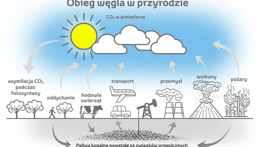 Czy wulkany emitują więcej CO2 niż człowiek? Wpływ wulkanów na klimat i emisje dwutlenku węgla