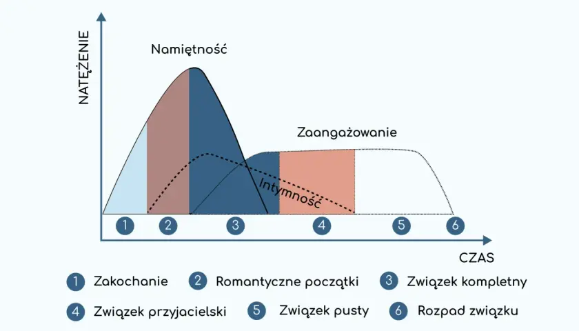 Wykres przedstawia fazy miłości: zakochanie, romantyczne początki, związek kompletny, związek przyjacielski, związek pusty i rozpad związku. Namiętność, intymność i zaangażowanie zmieniają się w czasie.