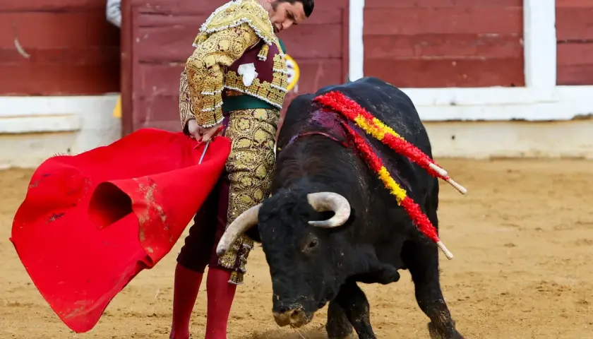 Un torero con traje de luces se enfrenta a un toro bravo en la arena. Esto es parte de lo que es tauromaquia, una tradición española.