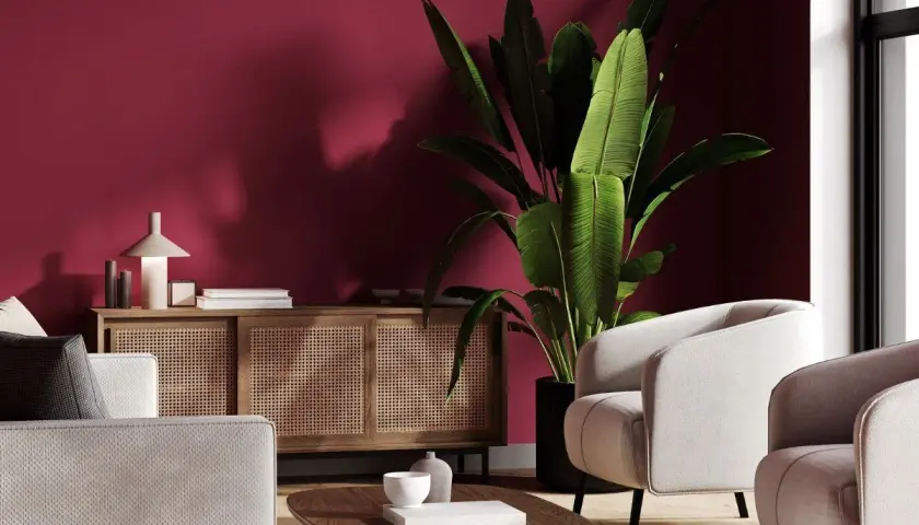Elegancki salon z meblami w odcieniu burgundowym. Duża roślina w donicy obok jasnych foteli.
