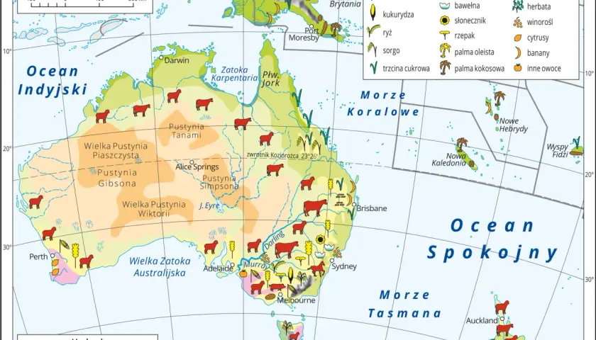 Gdzie leży Australia? Odkryj jej niezwykłą lokalizację na mapie