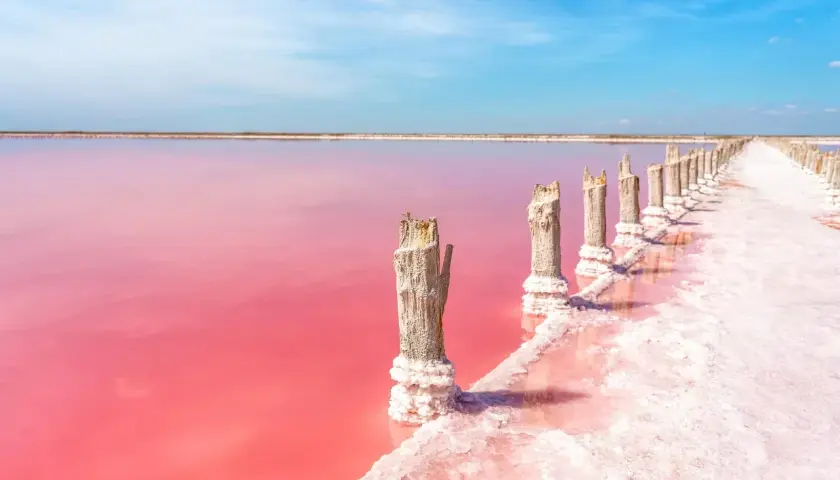 Alicante różowe jezioro, z drewnianymi słupkami porośniętymi solą, tworzy surrealistyczny krajobraz pod błękitnym niebem.