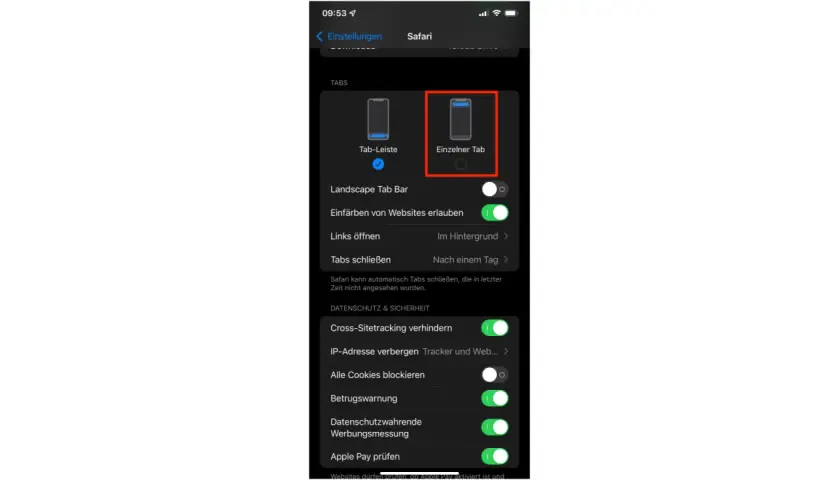 Safari-Einstellungen: Einzelner Tab ist ausgewählt. Die safari suchleiste oben ist hier nicht sichtbar.