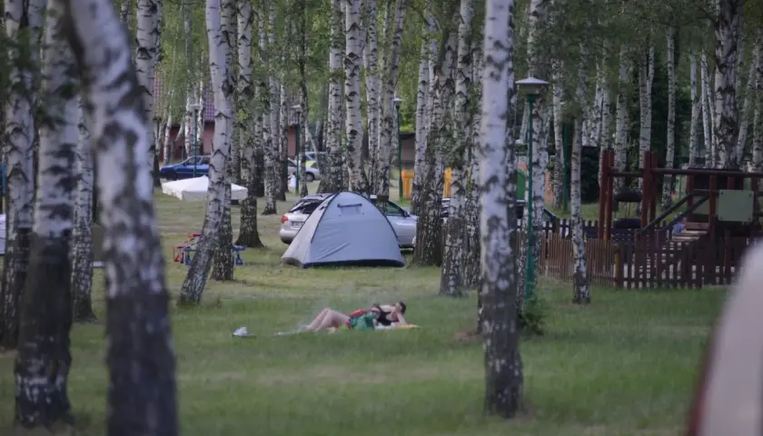 Relaks na trawie pod brzozami. Namiot i samochód na polu namiotowym. Idealne miejsce na **camping Dolny Śląsk**.