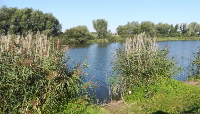 Gdzie na ryby bez karty kujawsko-pomorskie - najlepsze miejsca na wędkowanie